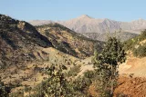 Las montañas de Qandil