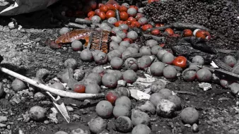 L'image montre un tas de fruits, notamment des oranges et des tomates, éparpillés sur un sol. On peut également voir des caisses en bois, certaines sont renversées, ajoutant à l'aspect chaotique de la scène. La majorité de l'image semble en noir et blanc, mais les fruits, en particulier les tomates, apparaissent en couleur, ce qui attire l'œil. Cela donne une sensation de désordre et de négligence dans ce qui semble être un marché ou un lieu de vente de fruits.