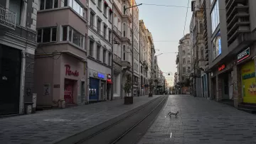 L'image montre une rue calme et déserte, probablement prise tôt le matin ou en fin de journée. À gauche, il y a des bâtiments avec des façades modernes et des magasins aux devantures visible, dont un portant le nom "Pearls". Le sol est pavé et des rails de tramway traversent la rue. Au centre de l'image, on aperçoit un chien qui marche paisiblement. Les bâtiments de droite affichent également divers commerces, bien que certains semblent fermés. L'atmosphère est tranquille, soulignant l'absence de circulation et de piétons.