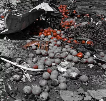 L'image montre un tas de fruits, notamment des oranges et des tomates, éparpillés sur un sol. On peut également voir des caisses en bois, certaines sont renversées, ajoutant à l'aspect chaotique de la scène. La majorité de l'image semble en noir et blanc, mais les fruits, en particulier les tomates, apparaissent en couleur, ce qui attire l'œil. Cela donne une sensation de désordre et de négligence dans ce qui semble être un marché ou un lieu de vente de fruits.